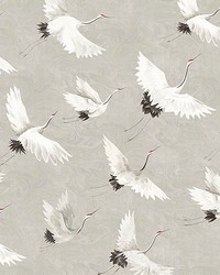 Crane You Later Dove Grey Wall Mural ASTM3909 by  Warner 