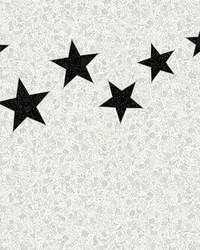 Terrazzo Stars Black on Dove Grey Wall Mural ASTM3918 by   