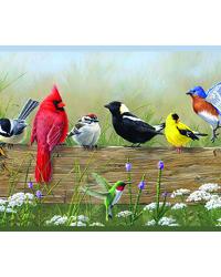 Clarence Green Songbird Menagerie Portrait Border by  Kasmir 