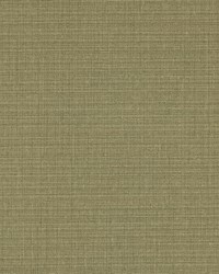 Brown Calico by  Washington Wallcoverings 