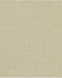 Beige Calico by  Washington Wallcoverings 