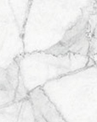White Marble Border Decal CR-67118 by   