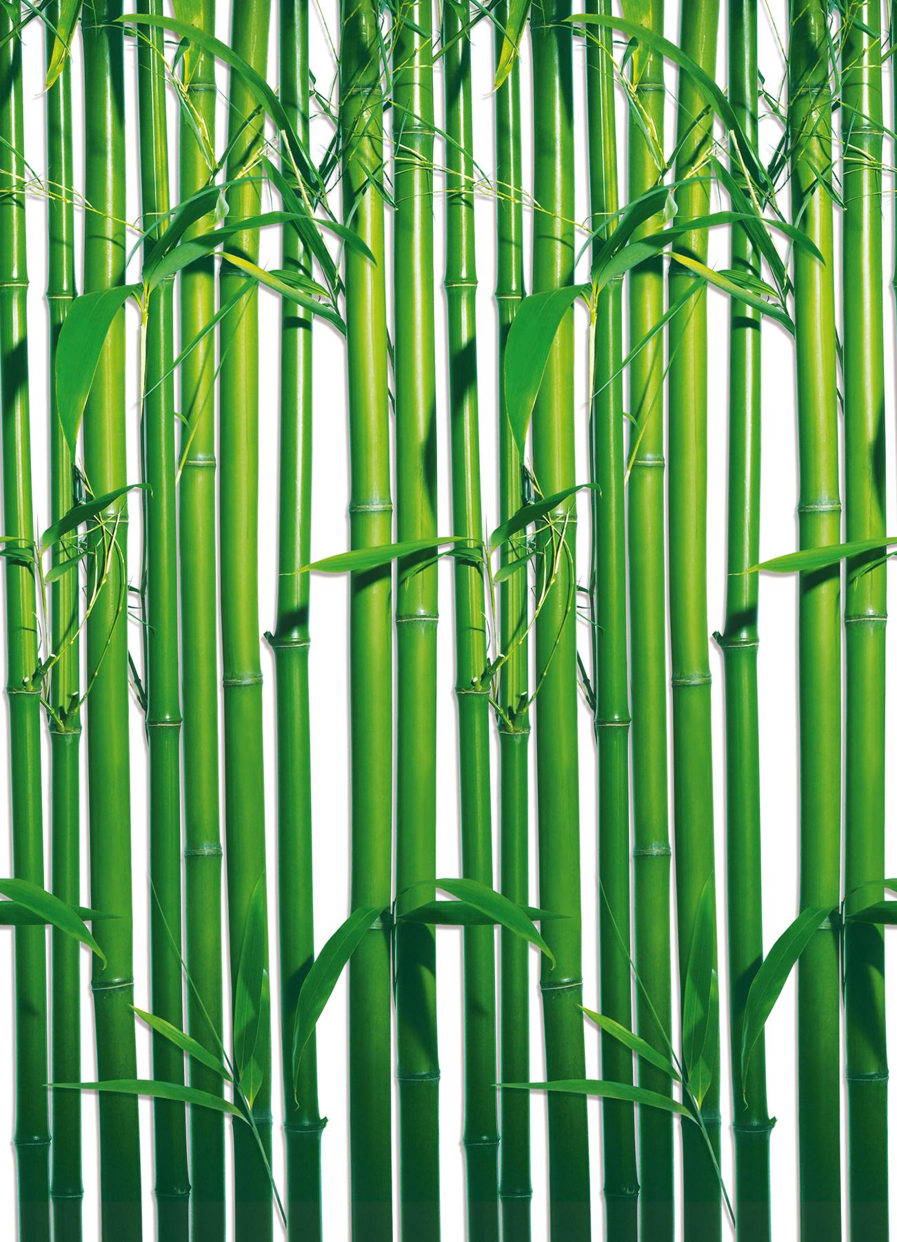 Бамбуковые стены купить. Бамбук Леруа Мерлен. Бамбуковая стена. Merlen бамбук. Бамбук на стене.