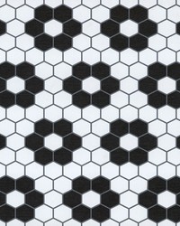 Biscotto Peel & Stick Floor Tiles FP3931 by   