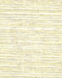 Horizon Yellow Stripe Texture by  Brewster Wallcovering 