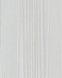 Alpha Grey Ombre Stripe by   