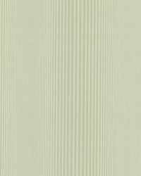 Alpha Green Ombre Stripe by   