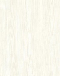 Tanice Ivory Faux Wood Texture by  Brewster Wallcovering 