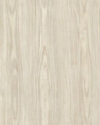 Tanice Beige Faux Wood Texture by   