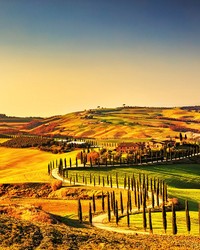 Tuscany Wall Mural MS-5-0070 by   