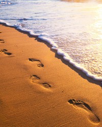 Footsteps Wall Mural MS-5-0193 by   