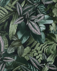 Green Living Wall Peel  Stick Wallpaper NHS4778 by   