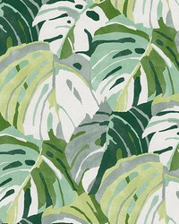 Green Adansonii Peel & Stick Wallpaper NUS4162 by   