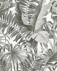 Black & White Maui Peel & Stick Wallpaper NUS4166 by   