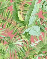 Coral Maui Peel & Stick Wallpaper NUS4167 by   