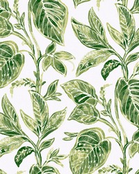 Green Caryota Peel & Stick Wallpaper NUS4446 by   