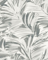 Grey Palima Peel & Stick Wallpaper NUS4450 by   