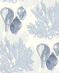 Blue Coralista Peel & Stick Wallpaper NUS4464 by   