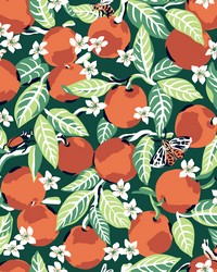 Juniper Orange Grove Peel  Stick Wallpaper PFS4816 by  Brewster Wallcovering 