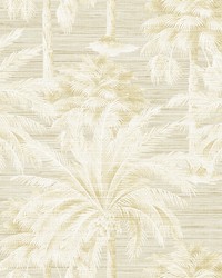 Dream Of Palm Trees Beige Texture Wallpaper by  Brewster Wallcovering 