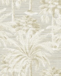 Dream Of Palm Trees Sand Texture Wallpaper by  Brewster Wallcovering 