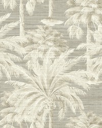 Dream Of Palm Trees Grey Texture Wallpaper by   