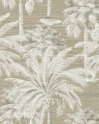 Dream Of Palm Trees Brown Texture Wallpaper by   