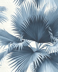 Endless Summer Blue Palm Wallpaper by  Brewster Wallcovering 