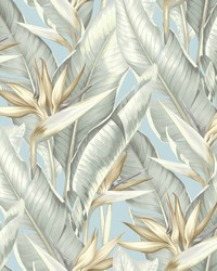 Arcadia Blueberry Banana Leaf Wallpaper by  Brewster Wallcovering 