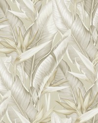 Arcadia Beige Banana Leaf Wallpaper by   