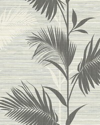 Away On Holiday Black Palm Wallpaper by  Brewster Wallcovering 