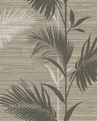 Away On Holiday Brown Palm Wallpaper by  Brewster Wallcovering 