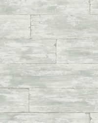 Shipwreck Light Grey Wood Wallpaper by  Brewster Wallcovering 