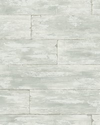 Shipwreck Light Grey Wood Wallpaper by   