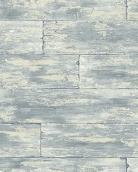 Shipwreck Grey Wood Wallpaper by  Brewster Wallcovering 