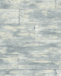 Shipwreck Grey Wood Wallpaper by   