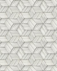 Intertwined Grey Geometric Wallpaper by   