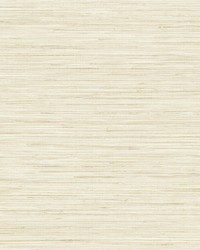 Baja Grass Sand Texture Wallpaper by  Brewster Wallcovering 