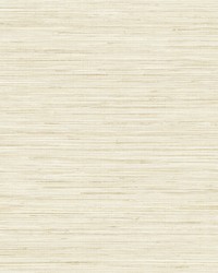 Baja Grass Sand Texture Wallpaper by   