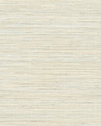 Baja Grass Blue Texture Wallpaper by  Brewster Wallcovering 