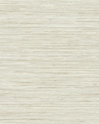 Baja Grass Grey Texture Wallpaper by  Brewster Wallcovering 