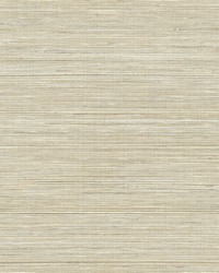 Baja Grass Brown Texture Wallpaper by  Brewster Wallcovering 