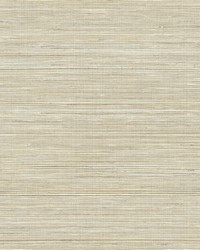 Baja Grass Brown Texture Wallpaper by   