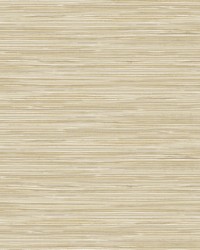 Holiday String Beige Texture Wallpaper by  Brewster Wallcovering 