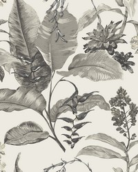 Maui White Botanical Wallpaper by   