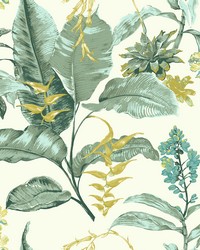 Maui Green Botanical Wallpaper by  Brewster Wallcovering 