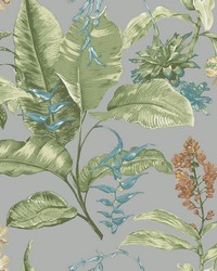 Maui Grey Botanical Wallpaper by   