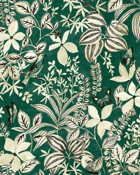 Green Willa Peel  Stick Wallpaper RZS4523 by  Brewster Wallcovering 