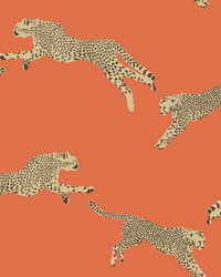 Clementine Leaping Cheetah Peel & Stick Wallpaper SCS4275 by   
