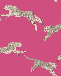 Bubblegum Leaping Cheetah Peel & Stick Wallpaper SCS4276 by   